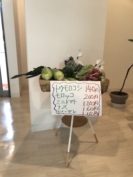 夏野菜を販売中です